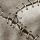 Frankenstein's Monster thumbnail