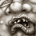 Quasimodo thumbnail